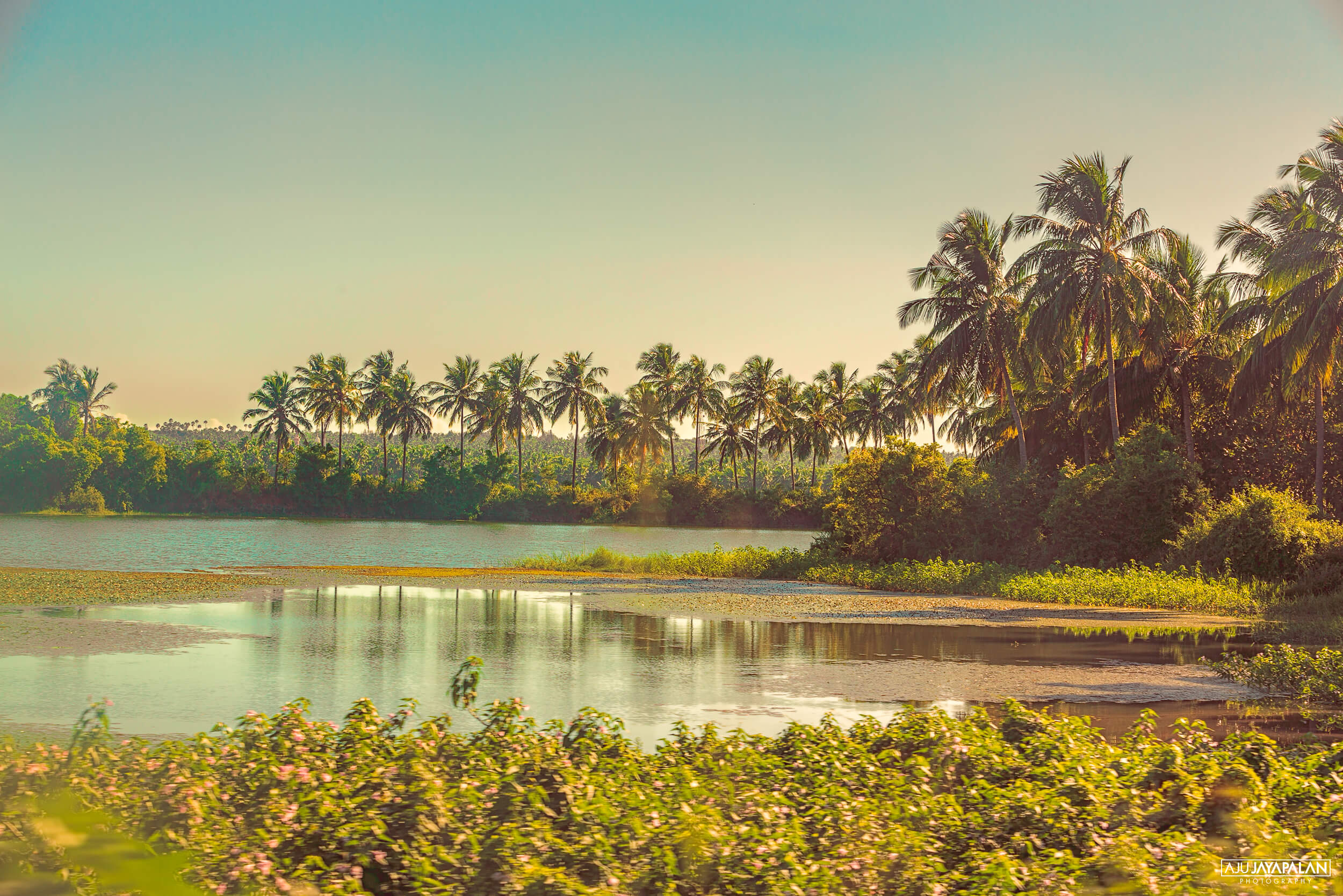 Photograph taken by Aju Jayapalan